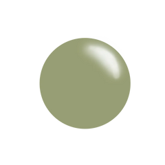 #215 Hazy Sage - Stamping Polish 5 Free Formula