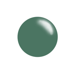 #216 Fern - Stamping Polish