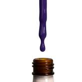 Aristocrat - Perfect Match - PMS077