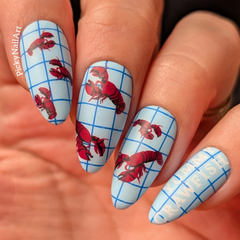 Call Me If You Get Lost (CjS-378)