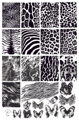 Fur-ever Flutter (CjS-387) - Clear Jelly Stamping Plate