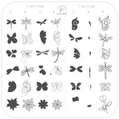 Dragonflies & Butterflies "Beginner Edition"  (CjS-B-THREE) -  CJS Medium Stamping Plate