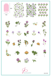 Pretty Clover (CjSH-105) - Clear Jelly Stamping Plate