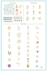 Beginner Edition (CjS-B-SIX) - CJS Stamping Plate