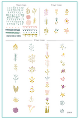 Beginner Edition (CjS-B-SIX) - CJS Stamping Plate