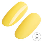 #371 - SMILEY FACE - Cats Eye - Ugly Duckling Gel Polish