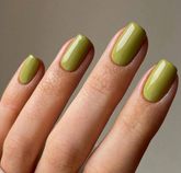 Agave - Akzentz Luxio, 15ml/0.5oz