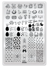 Springtime In The Country - Uber Chic Stamping Plate