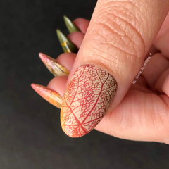 Graceful leaves (CjS-318) - Clear Jelly Stamping Plate