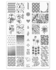 Collection 6 - Uber Chic Stamping Plates