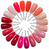 Color Wheel Swatch - 20 Blank Tips - LuvNailz