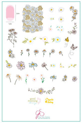 I Dream of Daisies (CjS-104) - Clear Jelly Stamping Plate