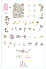 I Dream of Daisies (CjS-104) - Clear Jelly Stamping Plate