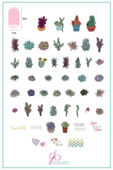 Oh So Succulent! (CjS-123) - Clear Jelly Stamping Plate