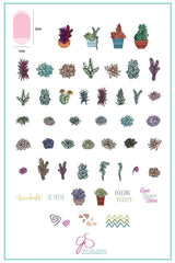Oh So Succulent! (CjS-123) - Clear Jelly Stamping Plate
