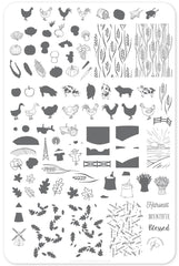 Harvest (CjS-138) - Clear Jelly Stamping Plate