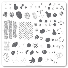 Mod Life Series - Just Picked (CjS 154) - CJS Medium Stamping Plate