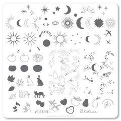 Autumn Solstice (CjS-168) - CJS Medium Stamping Plate