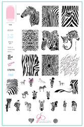 Wild Kingdom – Zebra (CjS-175) - Clear Jelly Stamping Plate
