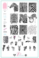 Wild Kingdom – Zebra (CjS-175) - Clear Jelly Stamping Plate