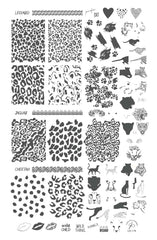 Wild Kingdom – Cheetah (CjS-176) - Clear Jelly Stamping Plate