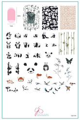 Playful Panda (CjS-216) - Clear Jelly Stamping Plate