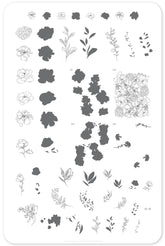 Sketched Garden (CjS-82) - Clear Jelly Stamping Plate