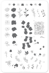 Sketched Garden (CjS-82) - Clear Jelly Stamping Plate