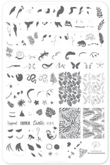 Enchanted Tropics (CjSLC - 58) - Clear Jelly Stamping Plate