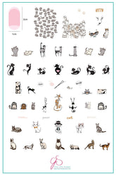 Purrr-fect! (CjSLC-75) - Clear Jelly Stamping Plate