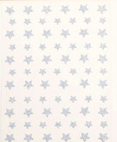 Pasties - FLASH Silver Stars