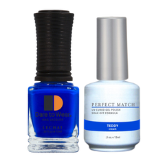 Teddy - Perfect Match - PMS041