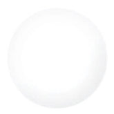 White Nail Art Paint with Striper Brush