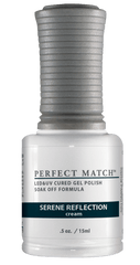 Serene Reflection - Perfect Match - PMS105
