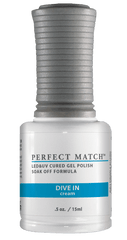 Dive In - Perfect Match - PMS199