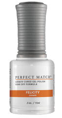 Felicity - Perfect Match - PMS205