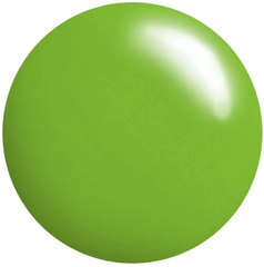 #87 Enlighten MINT Stamping Polish