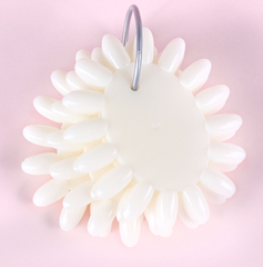 Color Wheel Set - 160 Tips on Wheels on a Ring