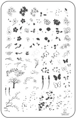 Sakura (CjSLC-69) - Clear Jelly Stamping Plate