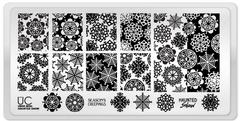 Haunted Snow - Uber Chic Mini Stamping Plate