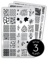 Collection 26 - Set of 3 Uber Chic Stamping Plates