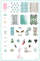 Snake (CjS-217) - Clear Jelly Stamping Plate