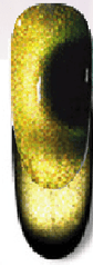 Citrine Blackout Cats Eye Gel Polish