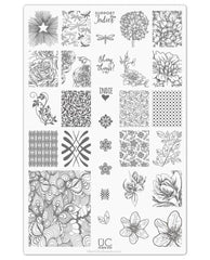 Collection 4 - Uber Chic Stamping Plates