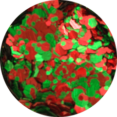 Elf Yo’Self! Glitter