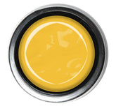 Crazy Daisy - Akzentz Options UV/LED