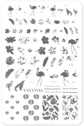 Fabulous Flamingo (CjS-57) - Clear Jelly Stamping Plate