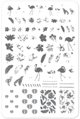 Fabulous Flamingo (CjS-57) - Clear Jelly Stamping Plate