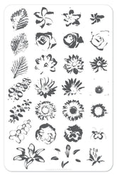 Full On Floral (CjSLC-16) - Clear Jelly Stamping Plate