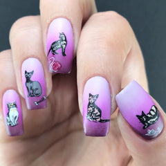 Purrr-fect! (CjSLC-75) -  Clear Jelly Stamping Plate